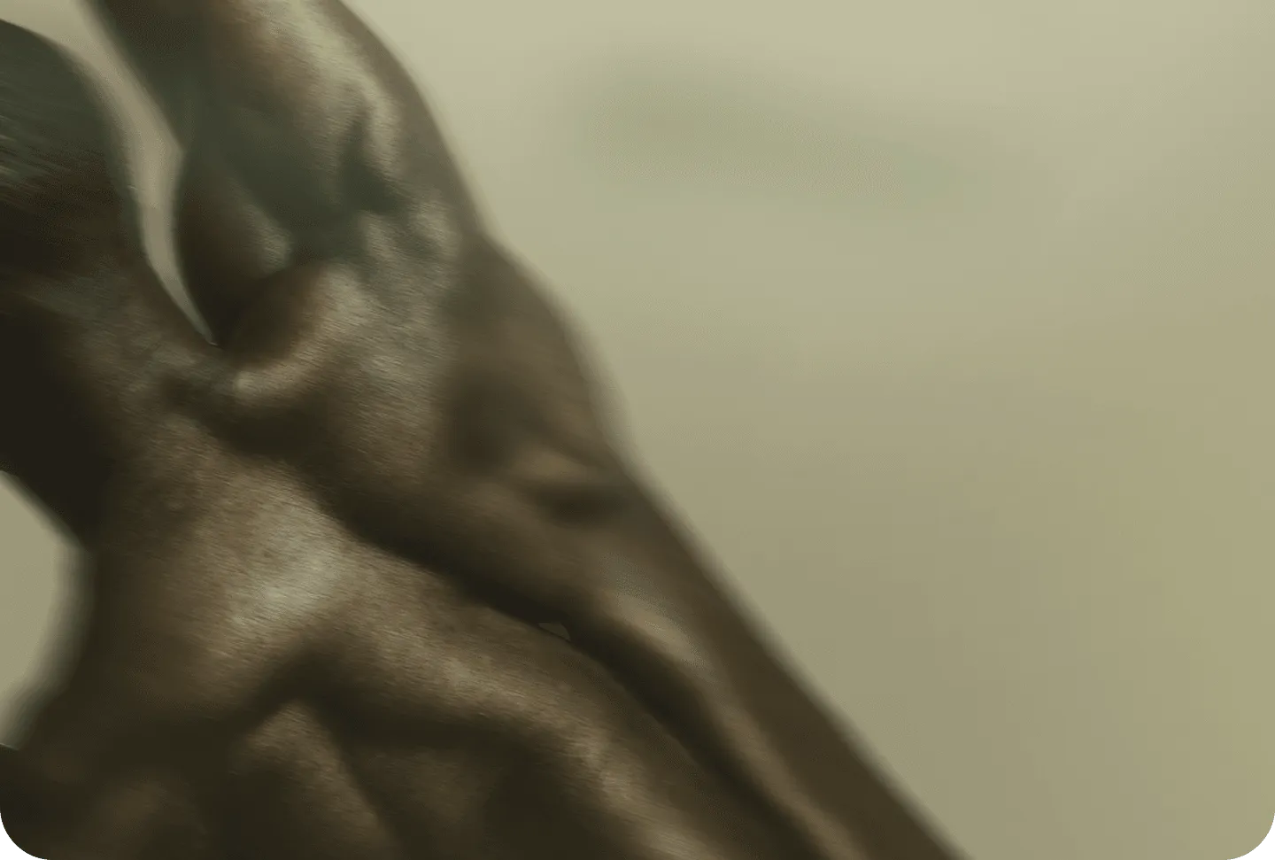 NeuroSpine homepage hero background